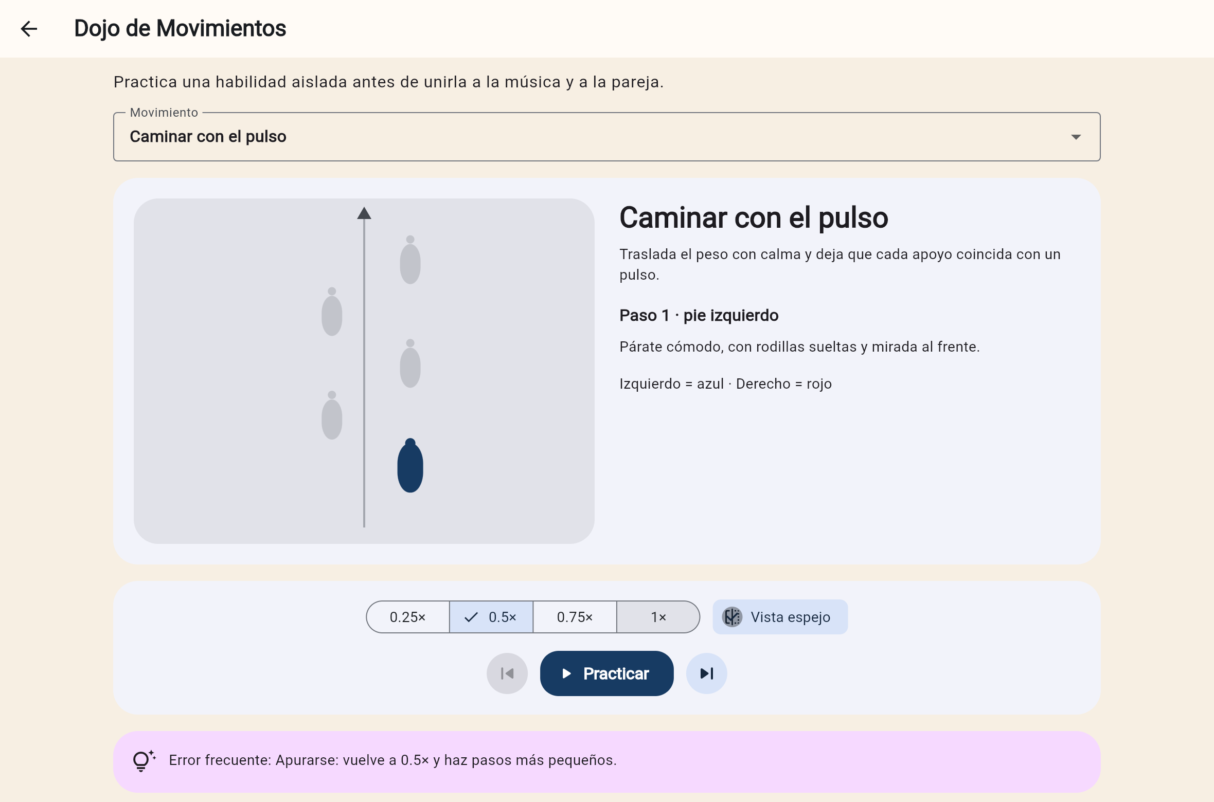 Dojo con huellas, velocidades y vista espejo